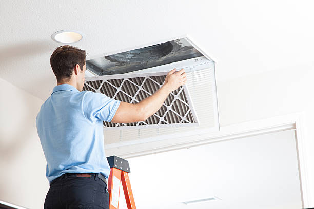 Best Ductless HVAC Repair  in Roscoe, TX