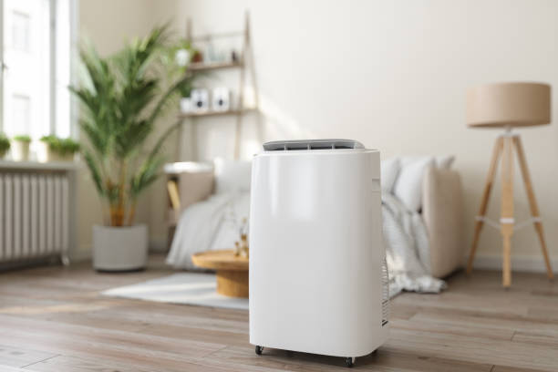 Best HVAC Air Duct Cleaning  in Roscoe, TX